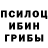 Галлюциногенные грибы ЛСД Sergey Gut