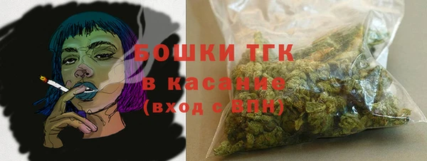 молекула духа Алзамай