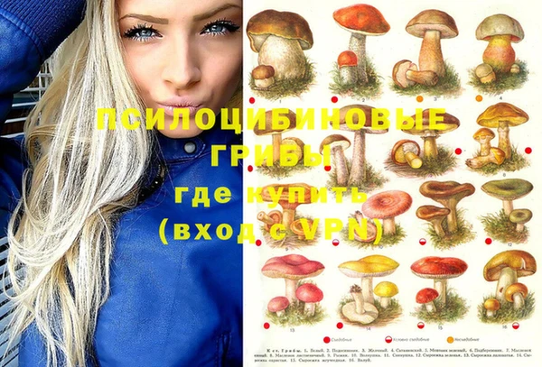 соль ск Алексин