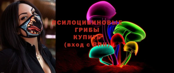 соль ск Алексин