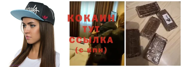 соль ск Алексин