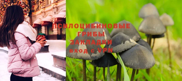 соль ск Алексин